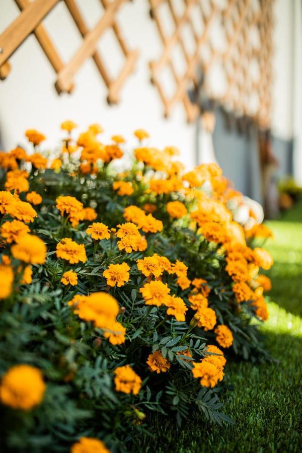 Apartment Mystay Matosinhos Centro